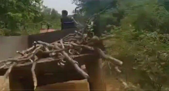 शराब माफिया की दबंगई