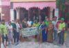 Green Purnea