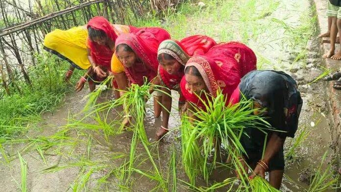 Nawada