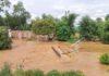 Flood