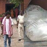 ghoswari 22Scope News