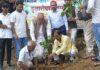 Plantation