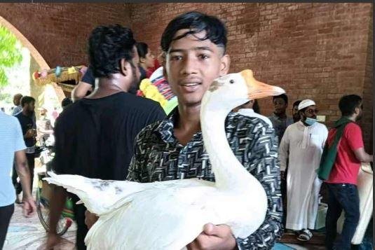 ढाका स्थित शेख हसीना के आवास से राजहंस को ले जाता युवा प्रदर्शनकारी