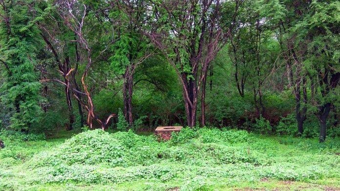 Naxal