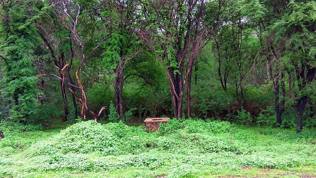 Naxal