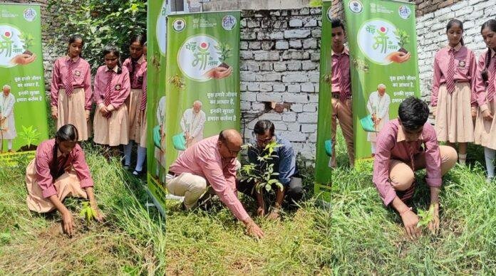 एक पेड़ माँ के नाम