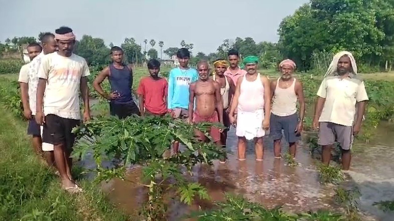 गंगा नदी के जलस्तर में लगातार बढ़ोतरी, किसान परेशान, खेतों में घुसा पानी