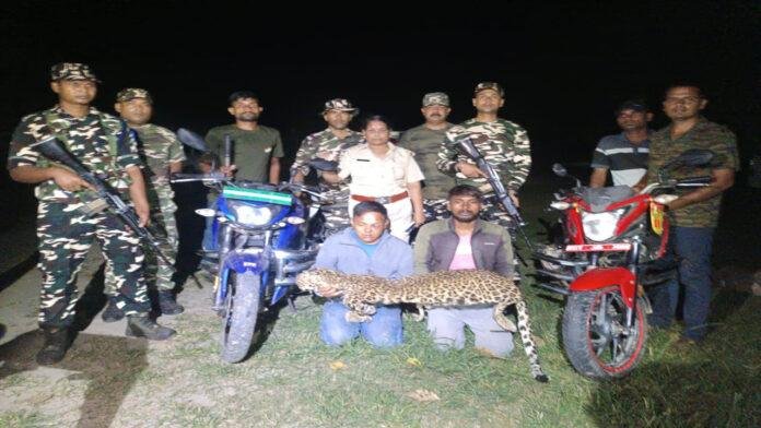 Betia Police SSB व वन विभाग की टीम ने बरामद किया तेंदुआ की खाल