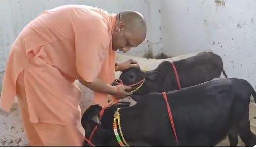 गोरखपुर के गोरक्षपीठ में सीएम योगी आदित्यनाथ
