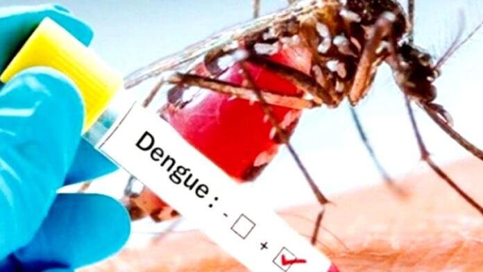 डेंगू के डंक से बेहाल बिहार! प्रदेश में 102 तो पटना में मिले 46 नए मरीज