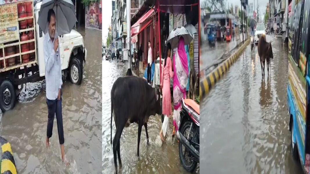 मूसलाधार बारिश से किसानों के चेहरे पर खुशी, शहरी इलाकों के लोग काफी परेशान