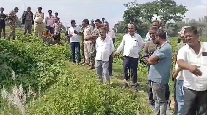Hazaribagh : कुएं से मिला नवविवाहिता का शव, सुसराल के सामने ही कर दिया अंतिम संस्कार, फिर जो हुआ...