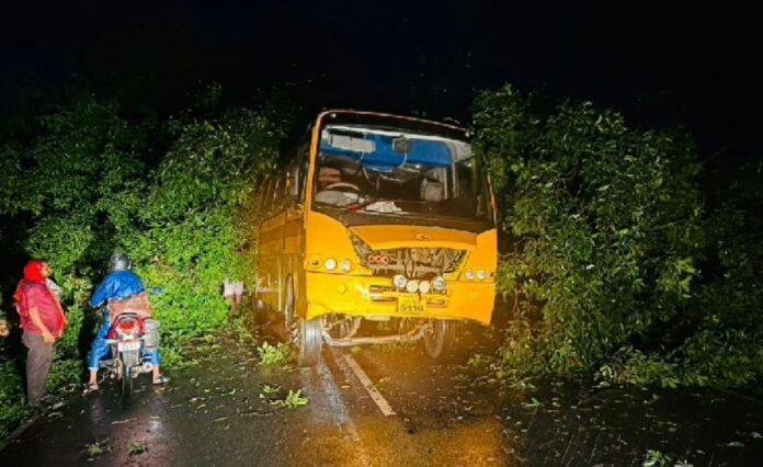Koderma में लगातार बारिश ने मचाई तबाही, बस के ऊपर गिरा पेड़ तो कहीं...