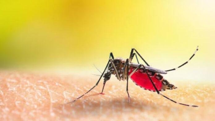 पटना में डेंगू का कहर, कल मिले 24 नए मरीज