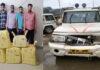 बिहार NCB की बड़ी कार्रवाई, 90 किलो नेपाली गांजा बरामद