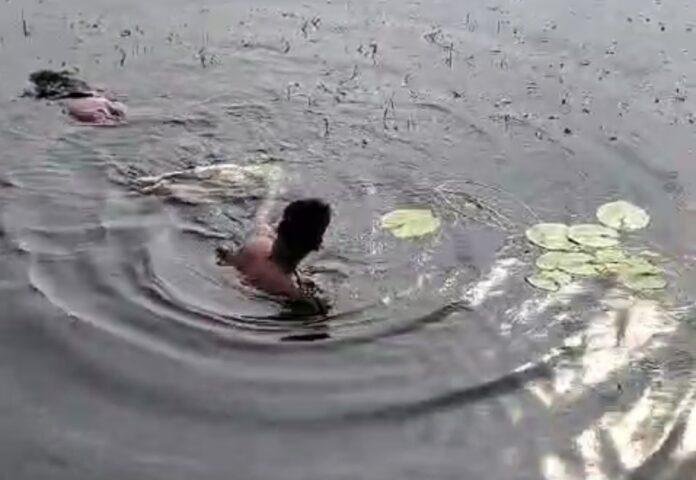 Nakati Dam से महिला और बच्चे का शव बरामद, पुलिस जुटी जांच में...