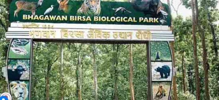 बरसा जैविक उद्यान: ठंड से जानवरों और पक्षियों की सुरक्षा के लिए विशेष इंतजाम, सैलानियों की संख्या में वृद्धि
