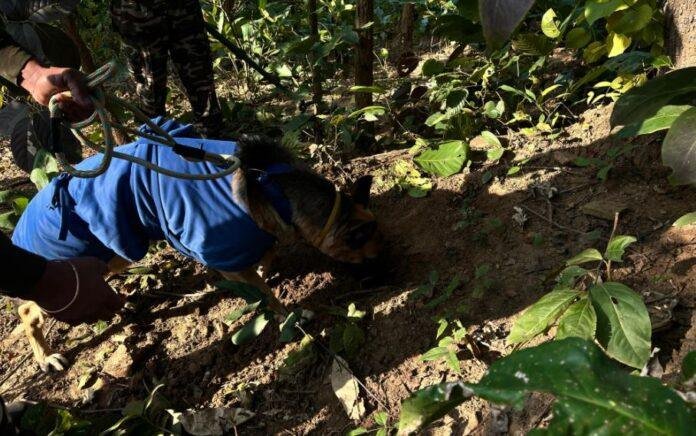 Gumla से 5 केन बम बरामद, बड़ी घटना को अंजाम देने की...