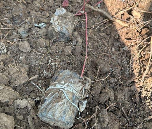 Gumla से 5 केन बम बरामद, बड़ी घटना को अंजाम देने की... | 22Scope News Gumla से 5 केन बम बरामद