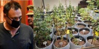 ग्रेटर नोएडा से गिरफ्तार युवक और उसके फ्लैट में गांते की खेती का नजारा।