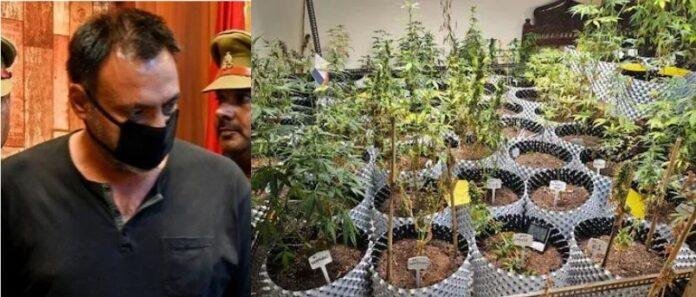 ग्रेटर नोएडा से गिरफ्तार युवक और उसके फ्लैट में गांते की खेती का नजारा।