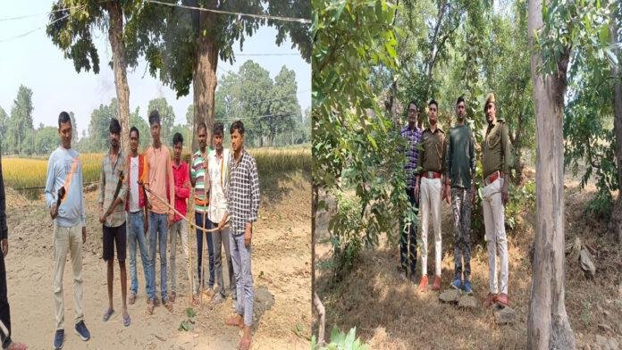 पगलाए सियार का आतंक, भीड़ में आकर कर रहा हमला, 3 महिला समेत 7 घायल