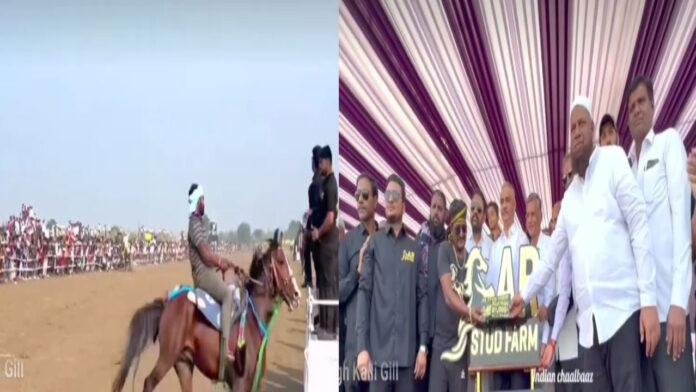 महाराष्ट्र में नेशनल हॉर्स रेस प्रतियोगिता का आयोजन, Motihari के घोड़ा ने मारी बाजी