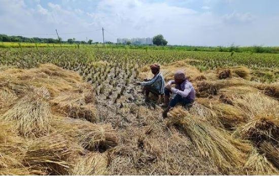 सांकेतिक फोटो