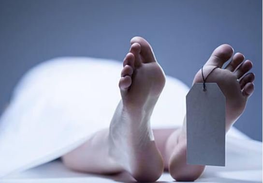 Gumla Murder : शख्स की पत्थर से कूचकर हत्या, जांच में जुटी पुलिस...
