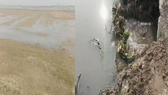 परिषद के गंदे व दूषित पानी के साथ आसमानी पानी ने किसानों में मचाया कोहराम