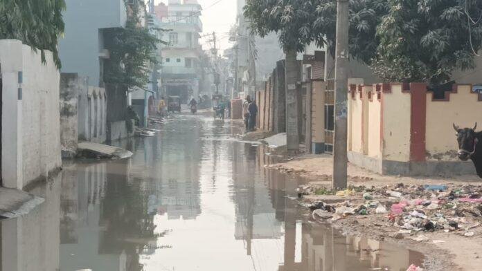 गंदगी और बदबू से जीने को मजबूर हैं मठिया वार्ड के वासी