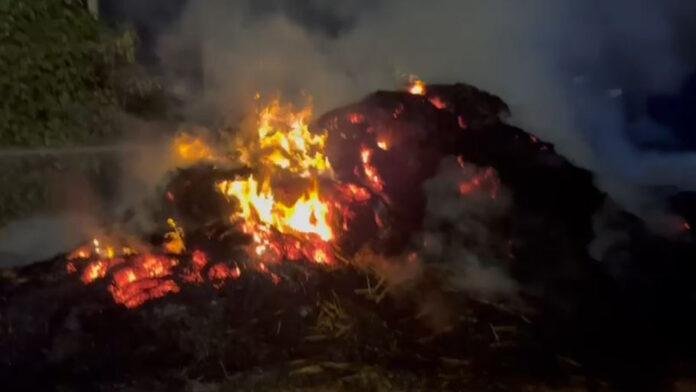 पटाखा से बिचाली दुकान के लगी आग, चारा जलकर खाक