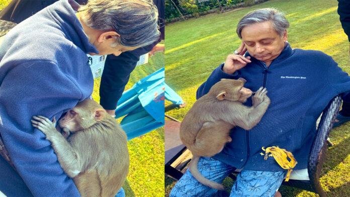 जब Monkey ने शशि थरूर को लगाया गले