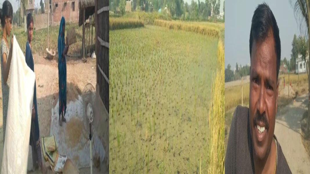 बेबसी का रोना रो रही है सूखी खेत, किसानों पर इसका सीधा असर