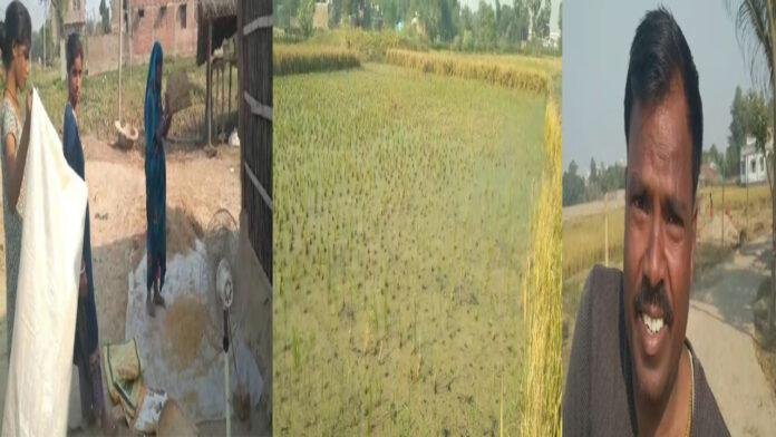 बेबसी का रोना रो रही है सूखी खेत, किसानों पर इसका सीधा असर