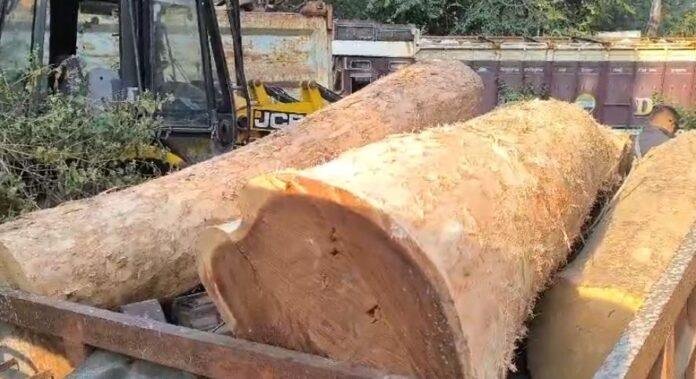 कोडरमा में आरा मिल पर कार्रवाई कोडरमा