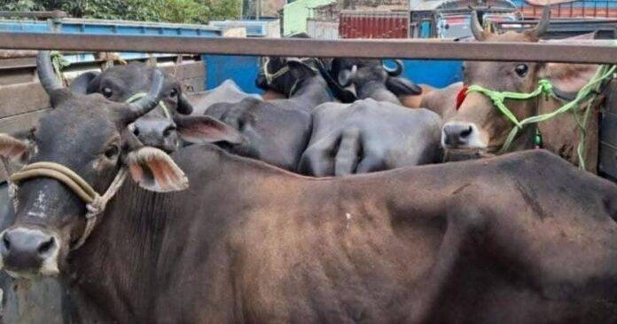 ाबीूहग-min