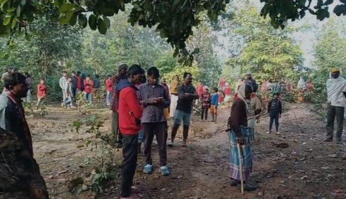 Garhwa : उधर सायरन बजाता रहा वन विभाग इधर हाथियों ने वृद्ध महिला को पटककर मार डाला...