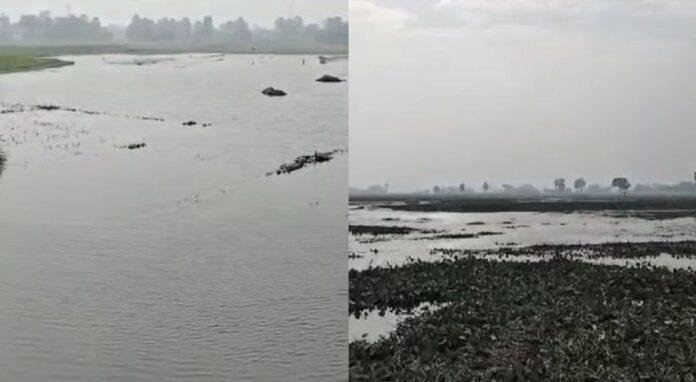Bihar
