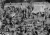 1954 के कुंभ मेला हादसे में भगदड़: लाखों की भीड़ में सैकड़ों की जान चली गई
