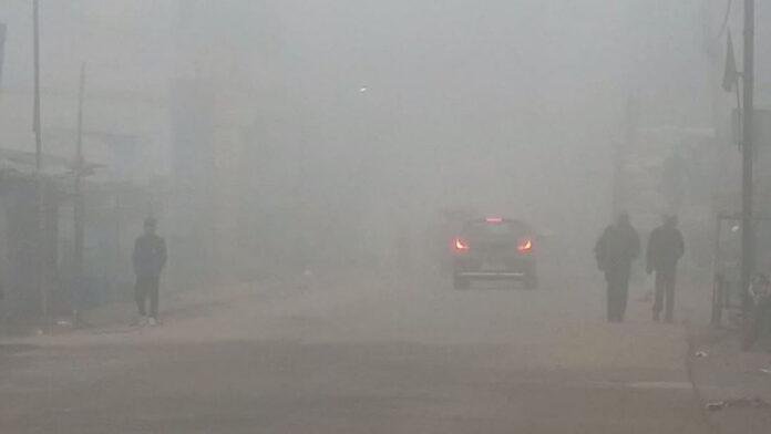 Bihar Thand (File Photo) बिहार में फिर बढ़ेगी ठंड, 8 जिलों में घने कोहरे का अलर्ट