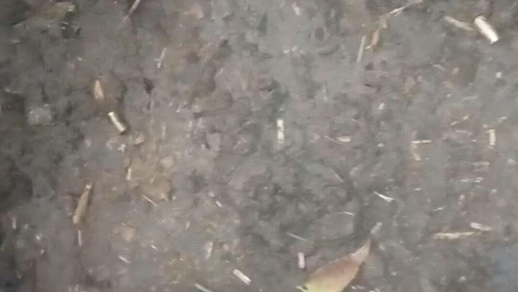 मोकामा में फिर से चली गोली, मौके से खोखा बरामद