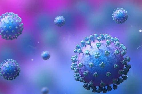 HMPV Virus