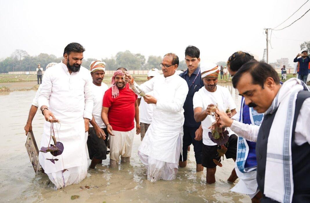 Darbhanga