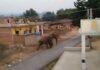 Garhwa