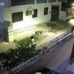 1 244 22Scope News