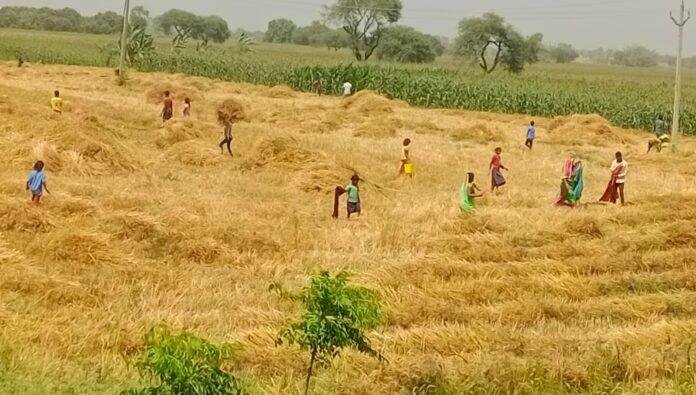 Bhagalpur