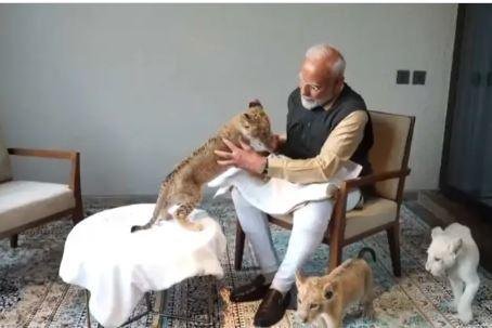 प्रधानमंत्री नरेंद्र मोदी ने गुजरात में वन्यजीव बचाव केंद्र 'वनतारा' का उद्घाटन किया