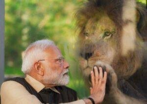 प्रधानमंत्री नरेंद्र मोदी ने गुजरात में वन्यजीव बचाव केंद्र 'वनतारा' का उद्घाटन किया
