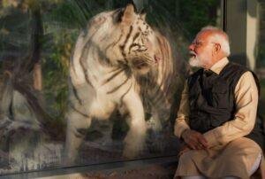 प्रधानमंत्री नरेंद्र मोदी ने गुजरात में वन्यजीव बचाव केंद्र 'वनतारा' का उद्घाटन किया